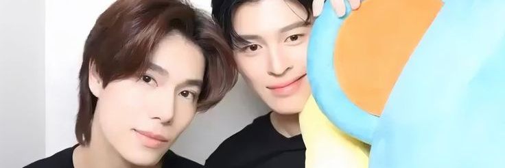 ₍^. .^₎⟆ banner
