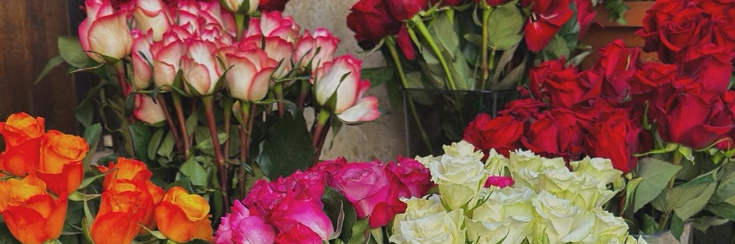 بوبا banner