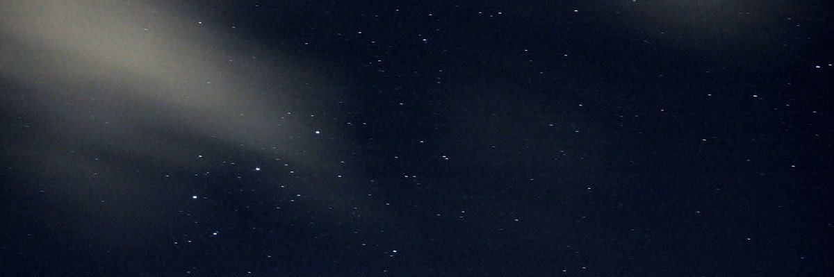 arın banner