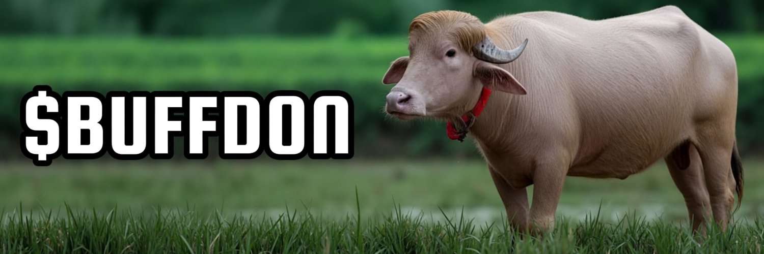 Buffalo Don banner