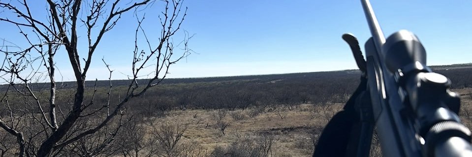 🌵 banner