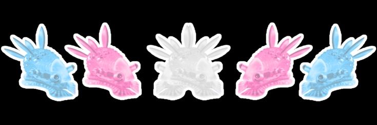 water slug but woke banner