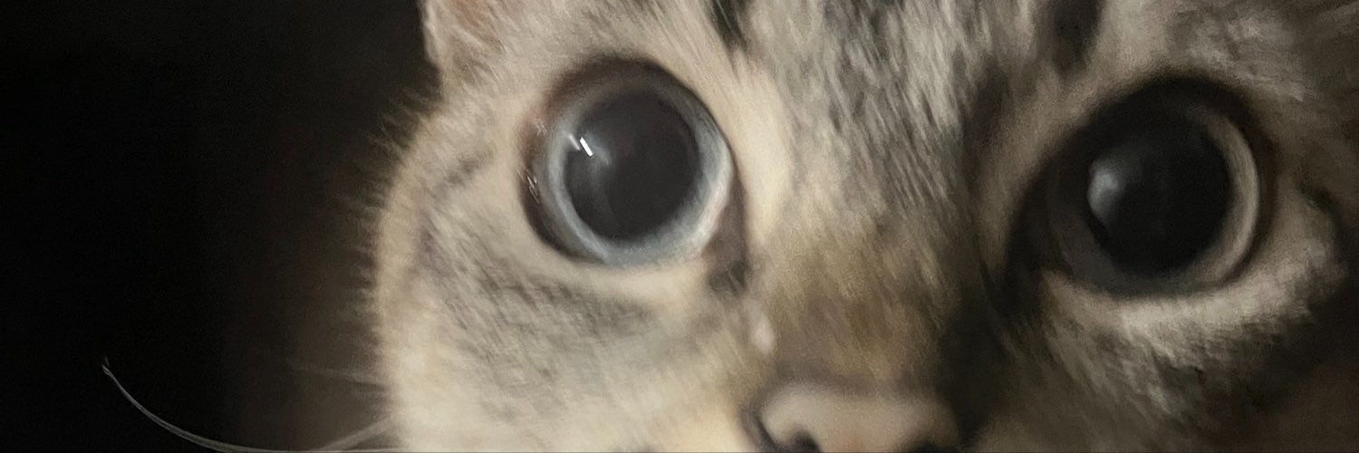 Marri_nn4's profile banner image