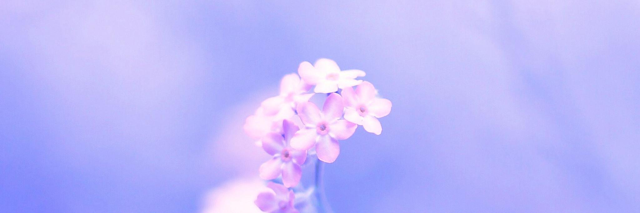 onlylove030's profile banner image