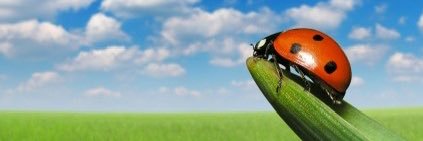 bugbraines's profile banner image