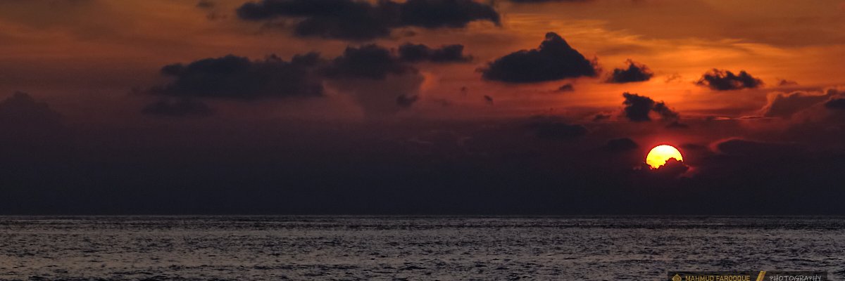 Mahmud Farooque banner