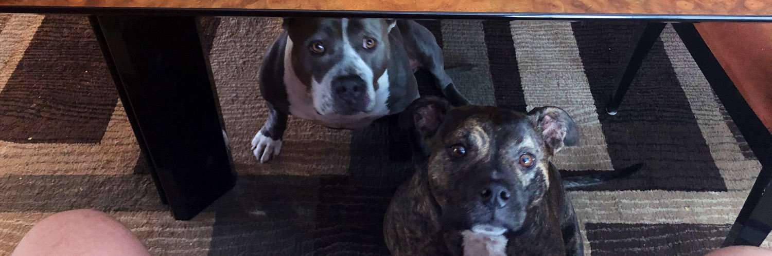 Stephen Jackson banner