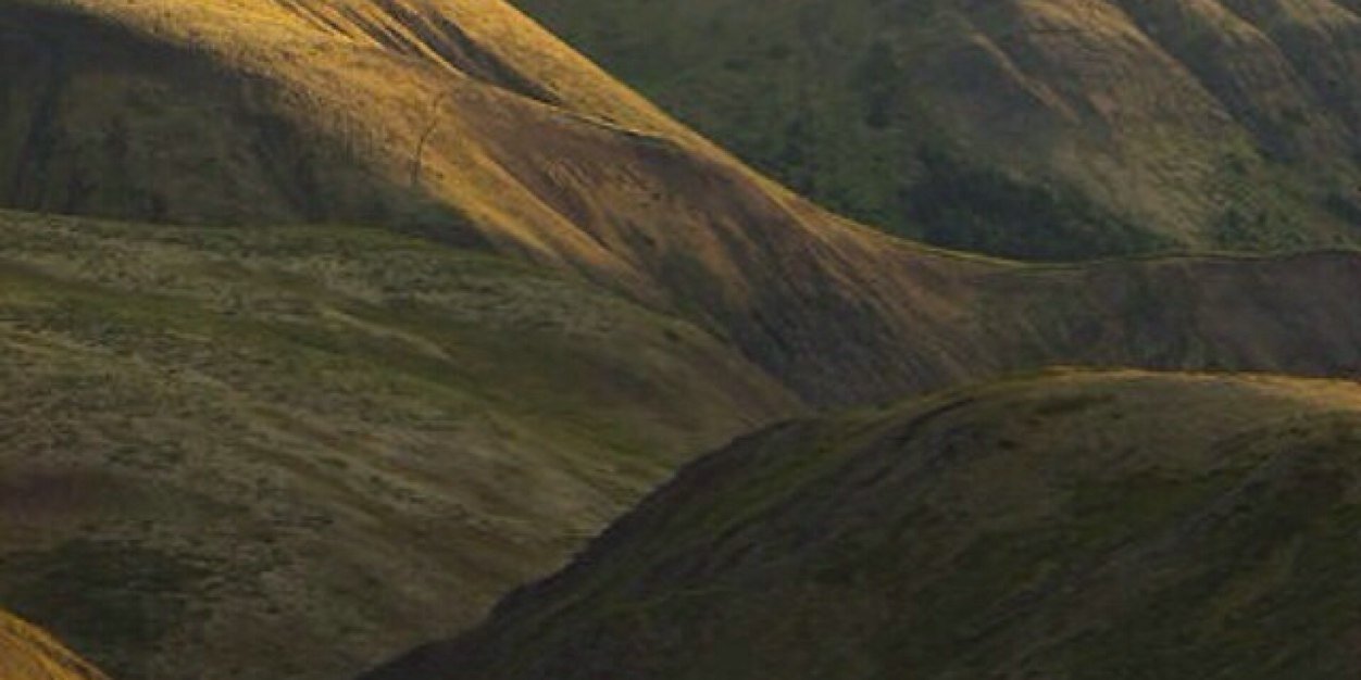 kcscavalier's profile banner image