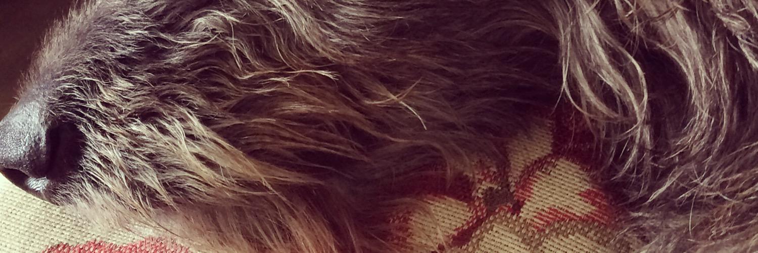 Gaelboy's profile banner image