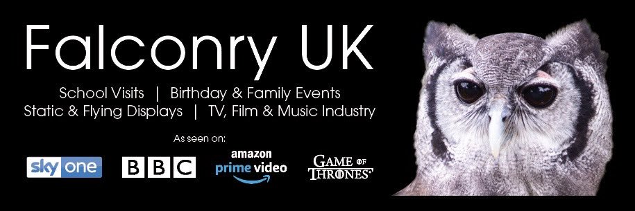 Falconry UK banner