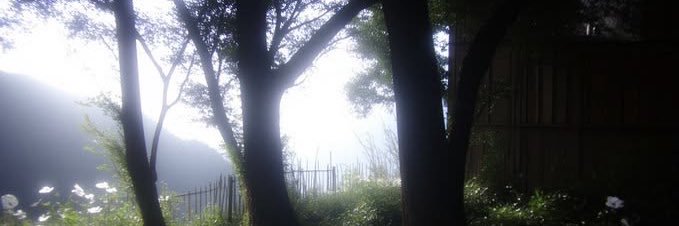lusttdoll's profile banner image
