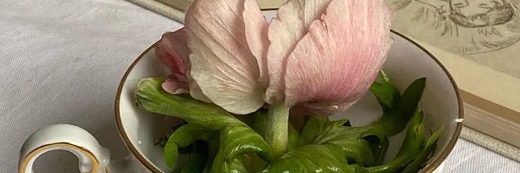 𝘣𝘶𝘣𝘣𝘭𝘦 ˚˖𓍢ִ໋❀ banner