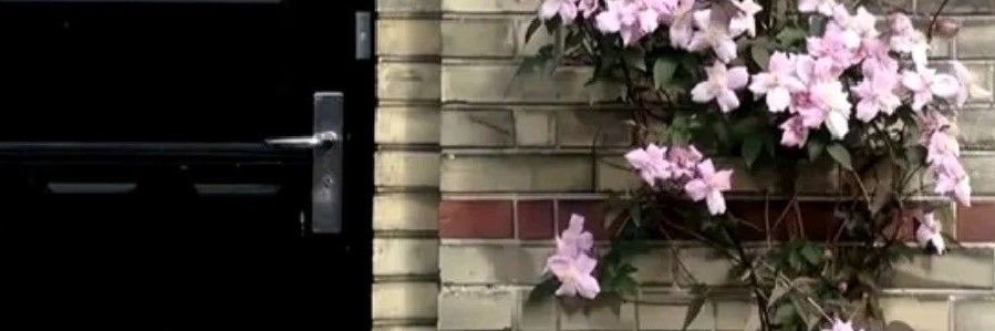 nningez's profile banner image