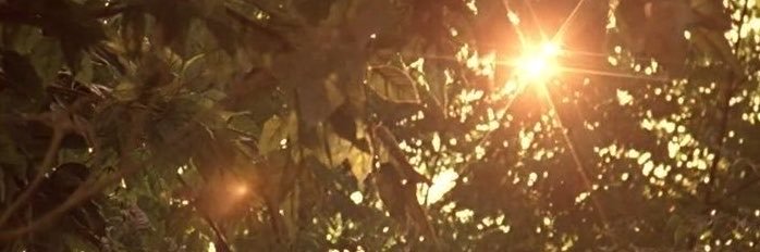 arisafazL's profile banner image