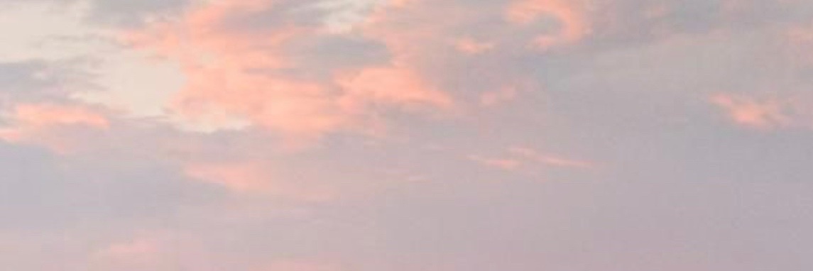 Chi Omega - Cincinnati banner