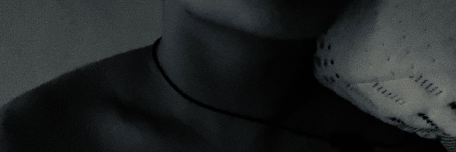 Sebis banner