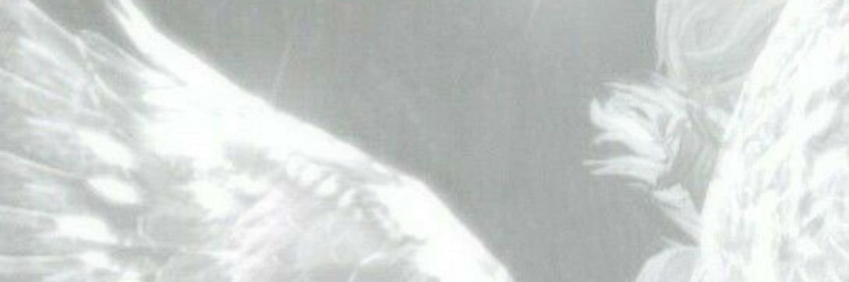 dollezumi's profile banner image