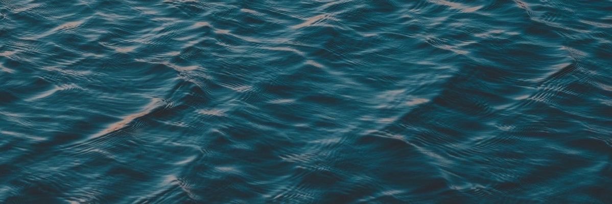 losinglyra's profile banner image