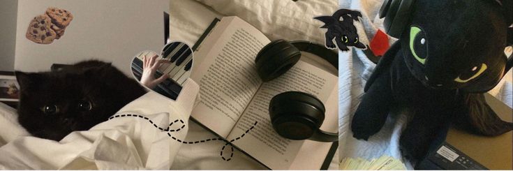 ella🩺 banner