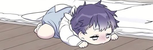 Sosa banner