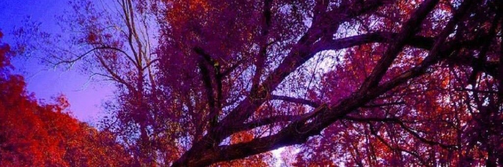 Msdebramaye's profile banner image