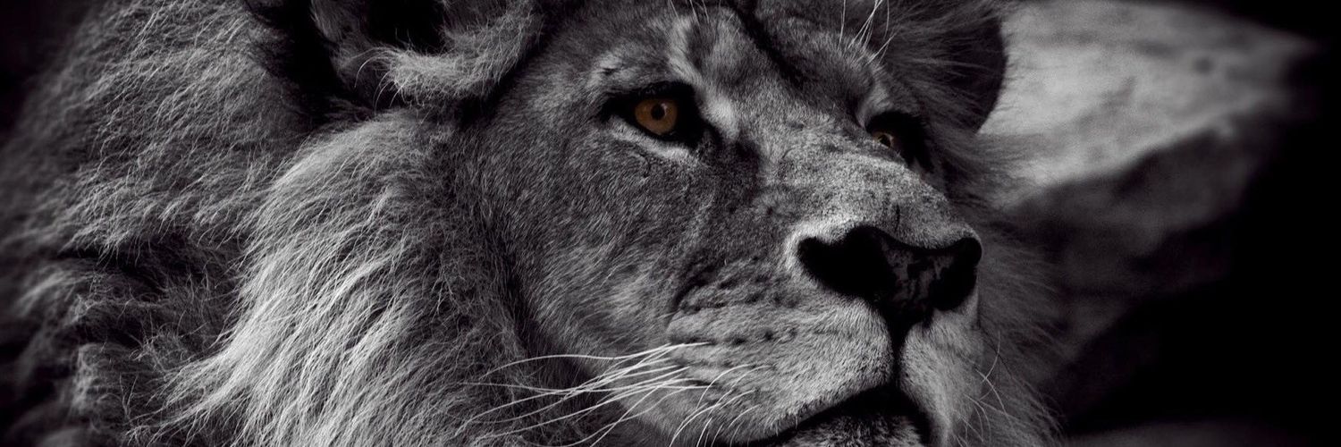 Matty_warby's profile banner image