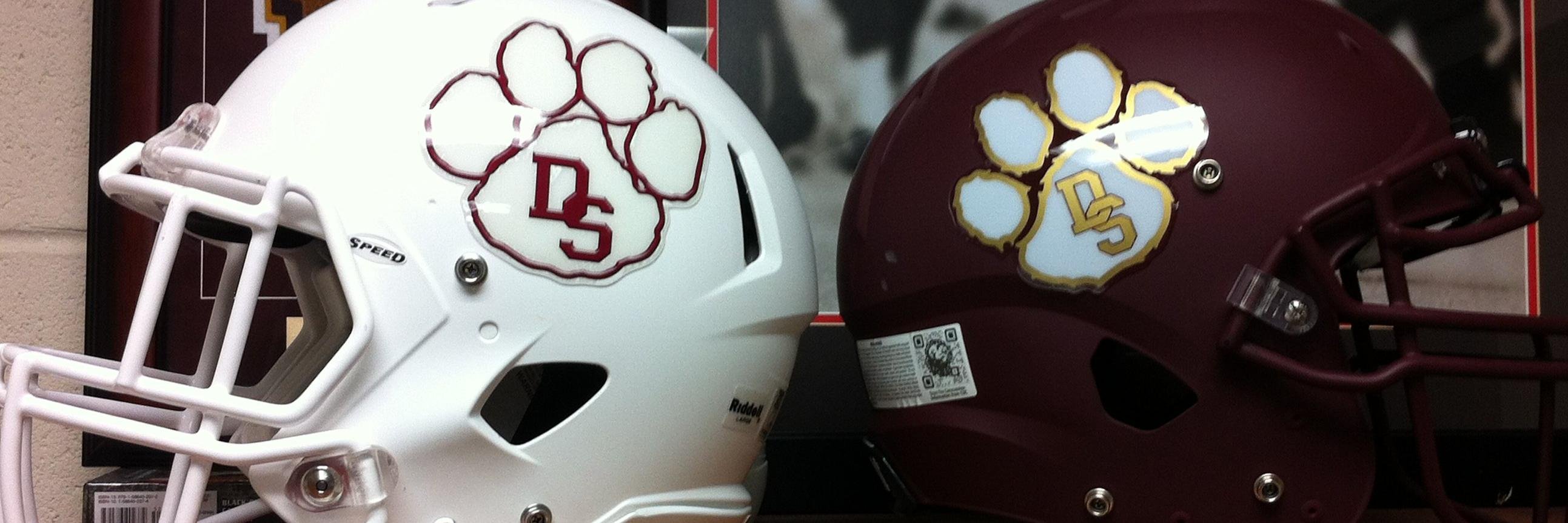 DS Tiger Radio banner