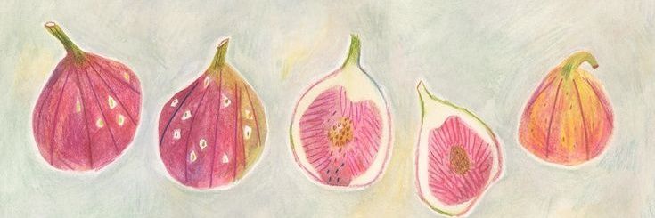 rye banner