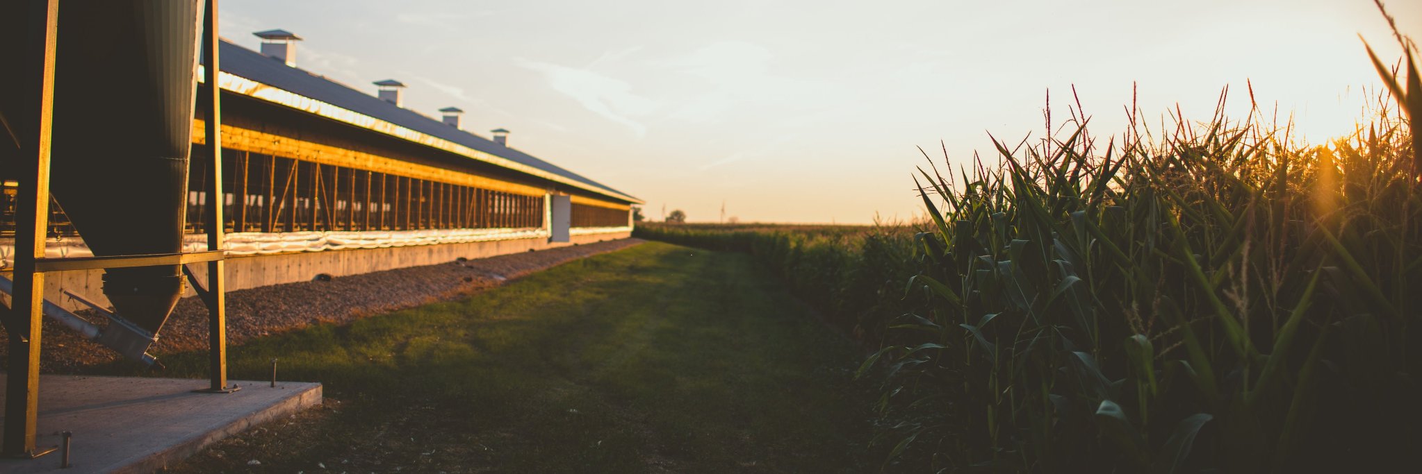 Hayter's Farm banner