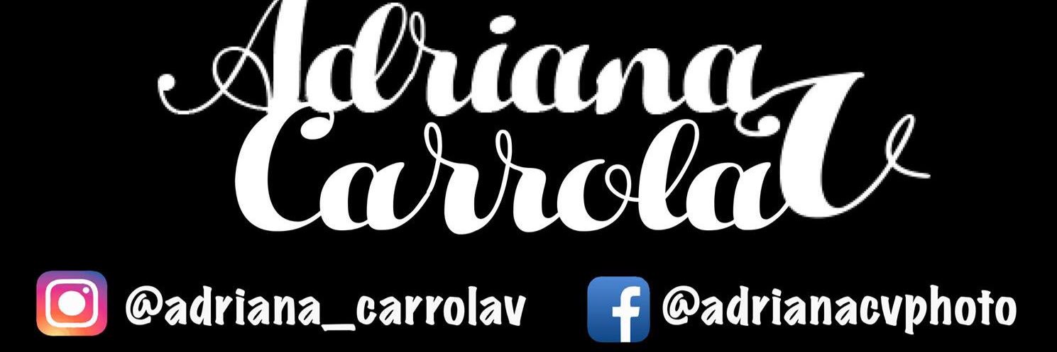 adricarrola's profile banner image