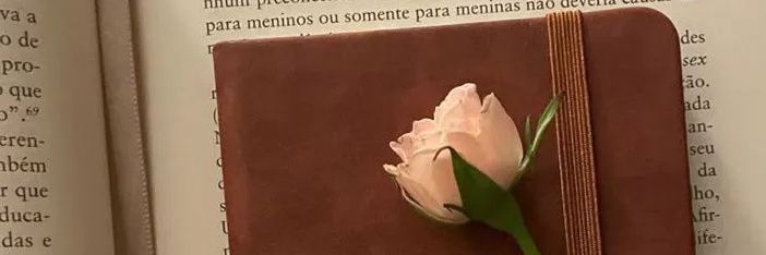 Serena serin banner