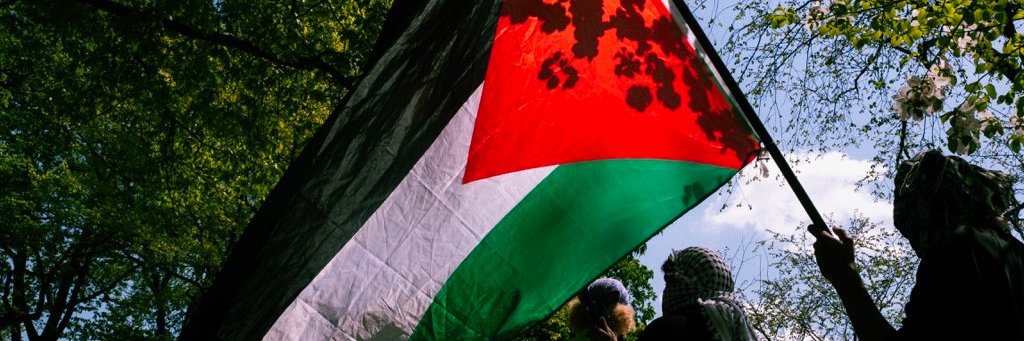 nb_sjp's profile banner image