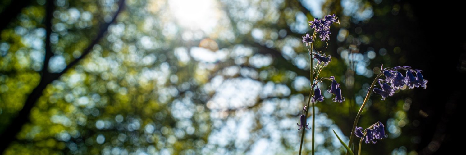 Carl Smethurst banner