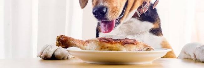 sarkari chicken rice enjoyer banner