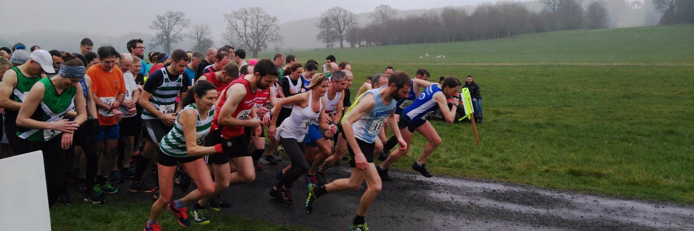 NDevon Journal Sport banner