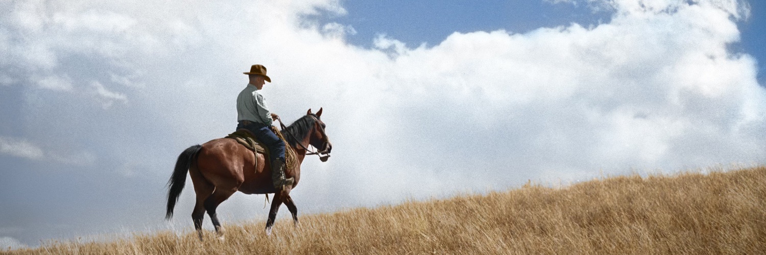 Wyatt banner