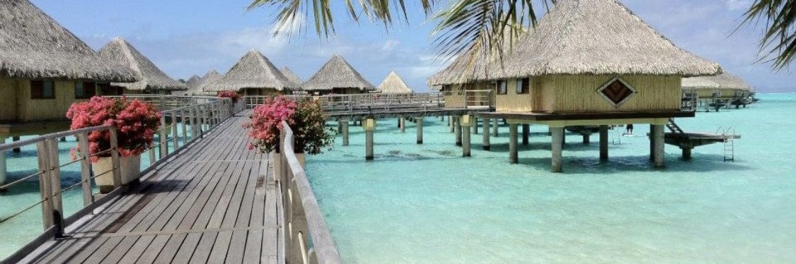 Lourdes Domingo banner