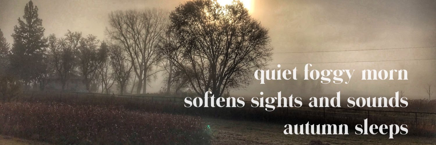 WendyBlomseth's profile banner image