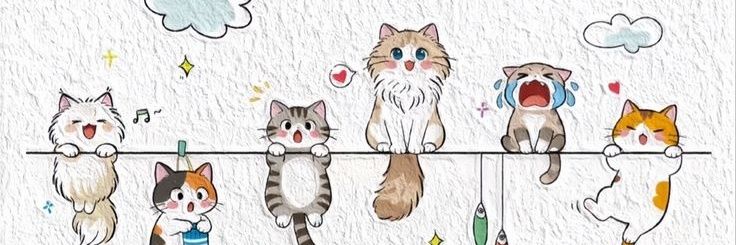 Phacha banner