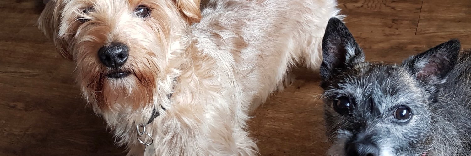 JulieB2's profile banner image