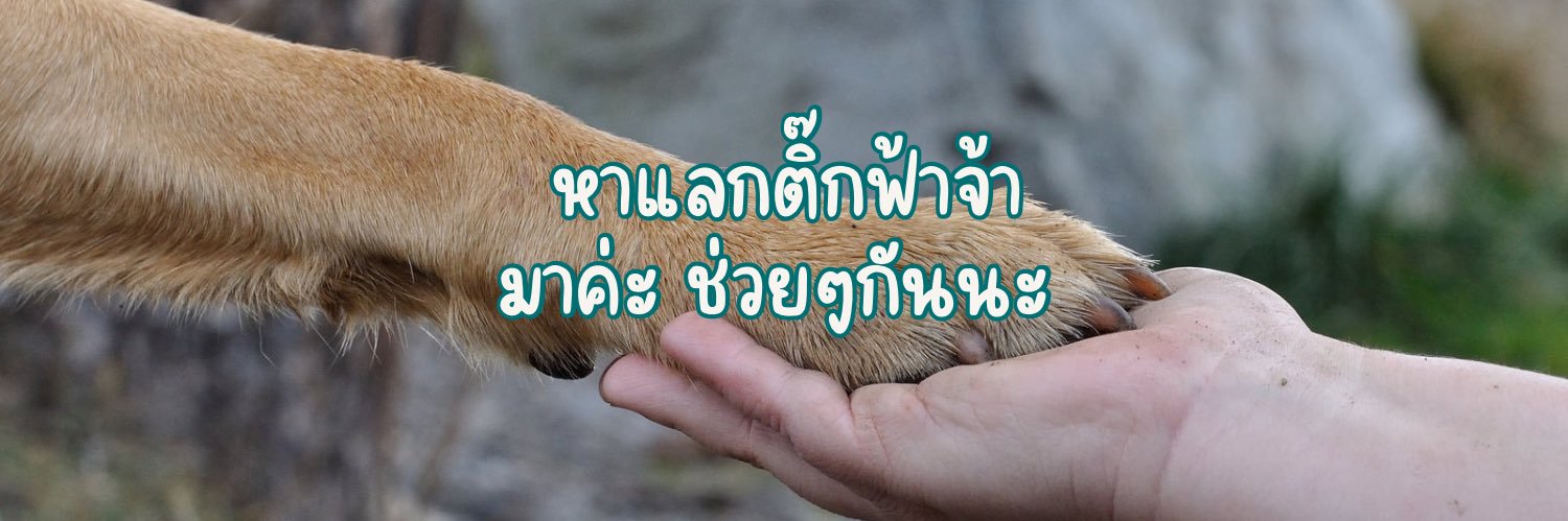 KLand เคแลนด์ banner