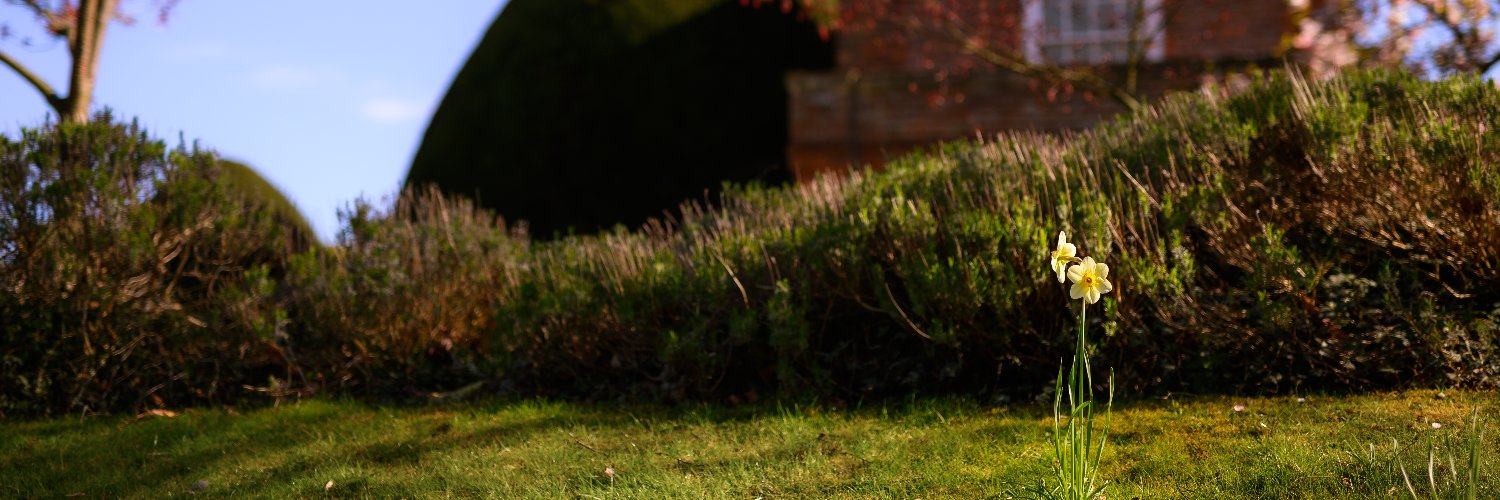 York for Life banner