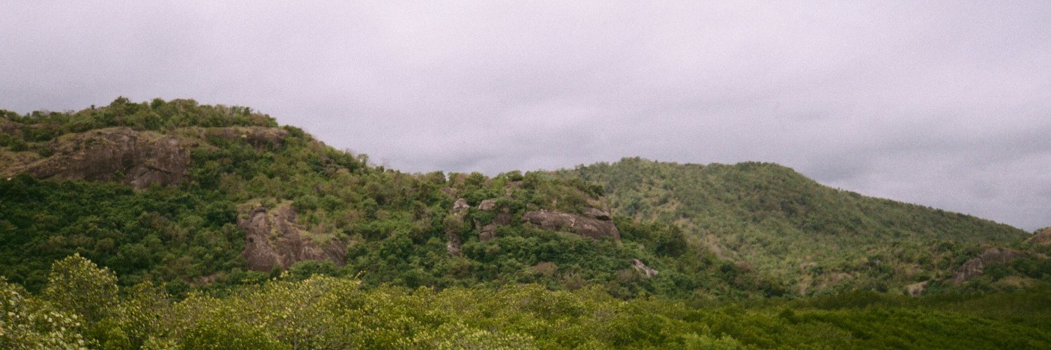 balabute's profile banner image