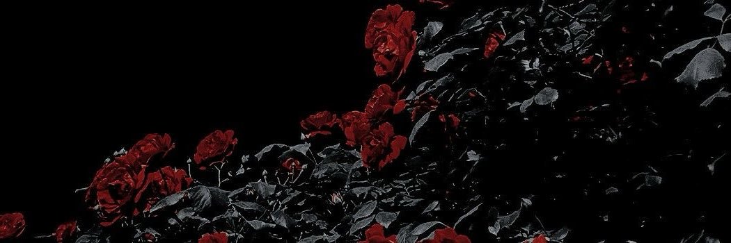 ✟ Misa ✟ banner
