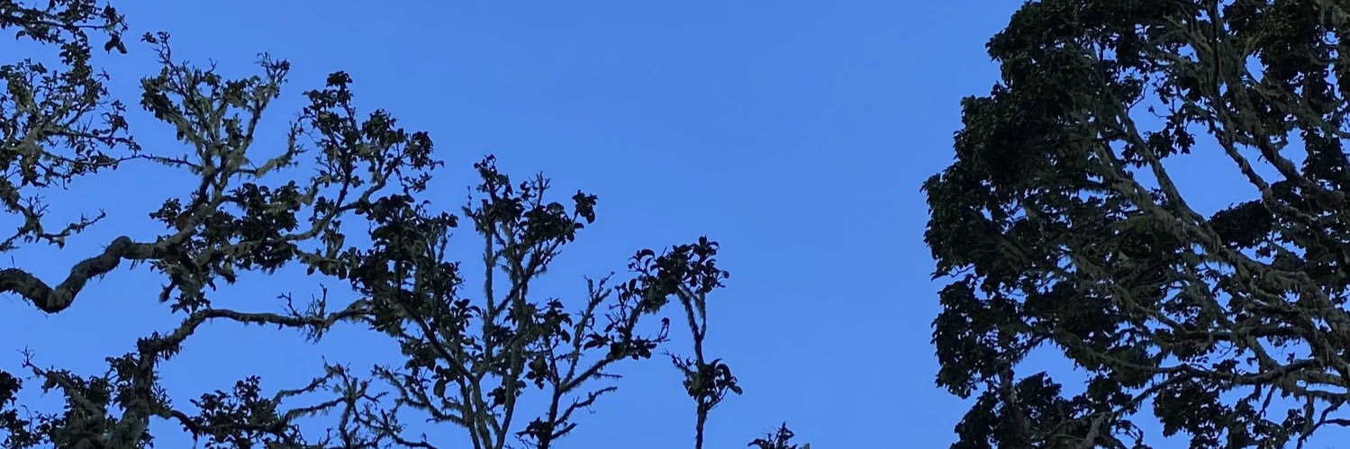 baskararsy_'s profile banner image