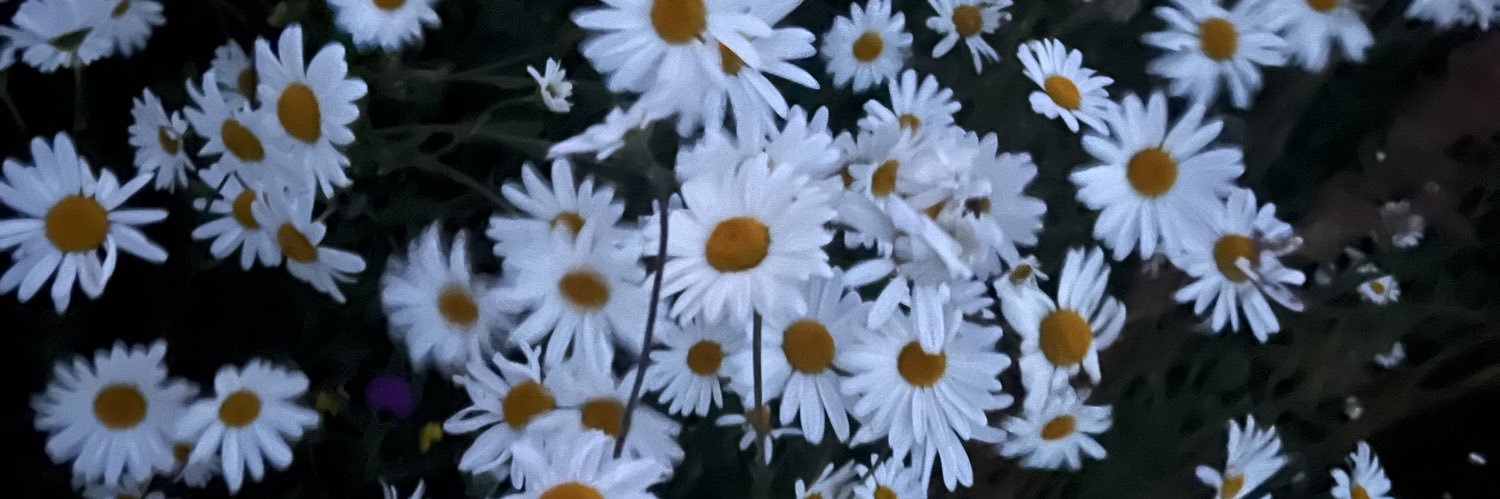 imactuallyrach's profile banner image