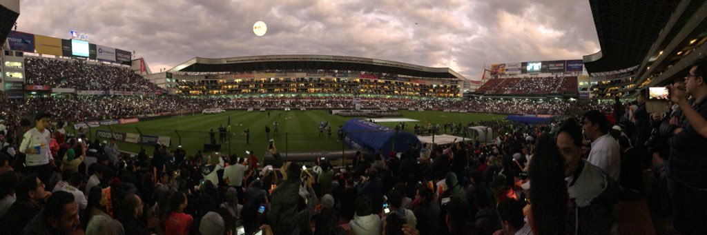 Rodrigo Padilla banner