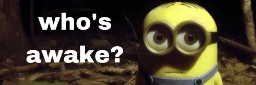 Best Videos banner
