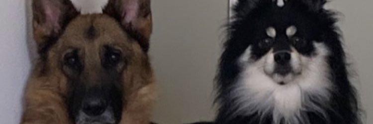 ale_carranzag's profile banner image