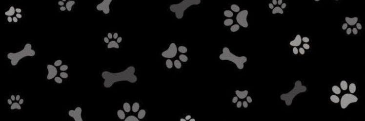 ☣︎ S0LACE ☣︎ banner